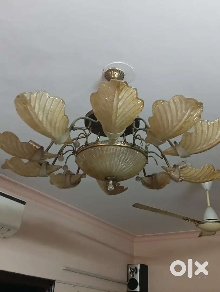 Home decor Shandiliyar