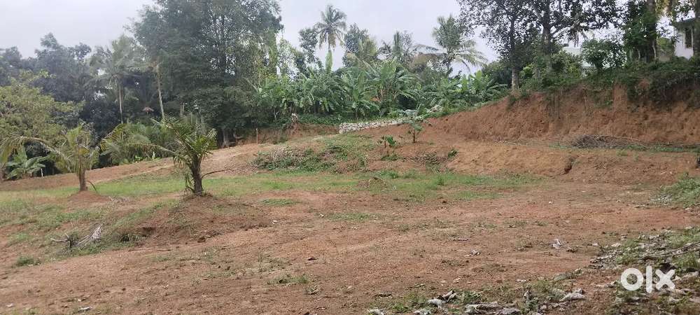 Riverside plot @ Peyad, near Kulasekaram bridge
