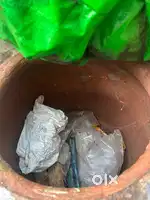 Tandoor bhatti