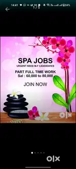 Earn 55000 to 90000 monthly As full/part time therapist