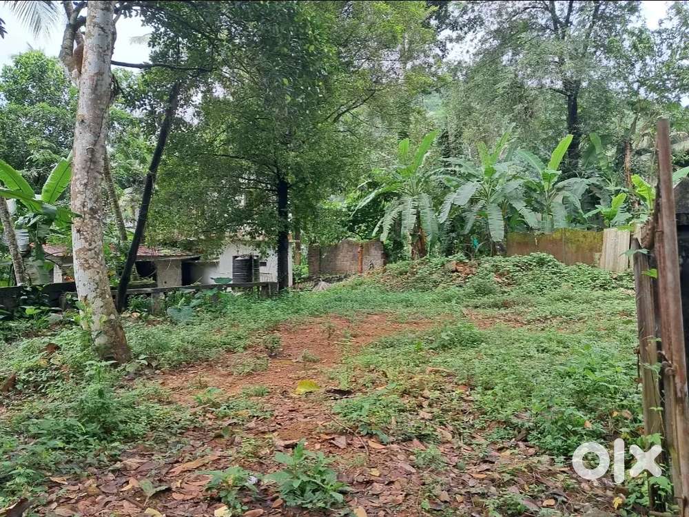 10 cent plot for sale