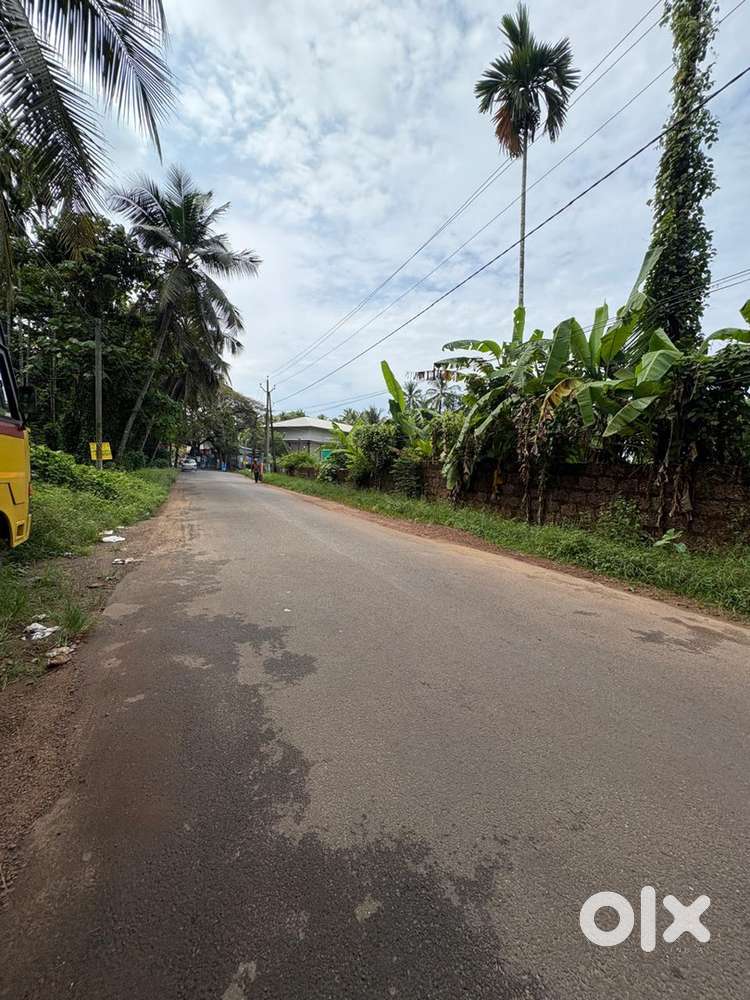 Karaparamba 15 Cent Commercial Plot