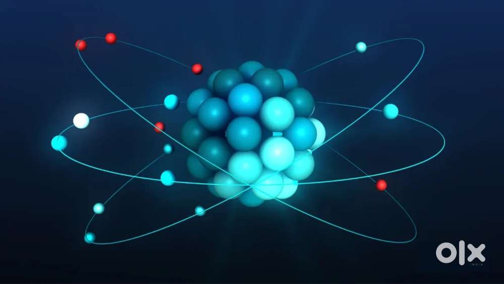 Operations Executive