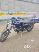 Bajaj Avenger Street 150 2016 Down Payment Rs 8,000/-