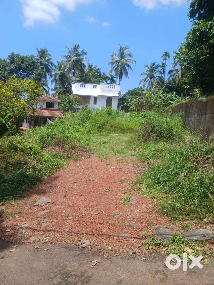 9 Cent Commercial Land for Sale at Chevayur, Calicut (SK)