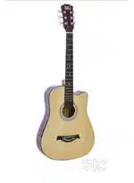 Acoustic guitar