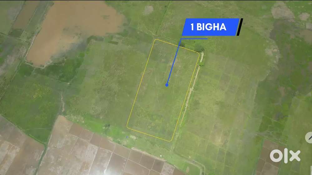 1 BIGHA TRIBELT MYADI LAND FOR SELL AT CHANDRAPUR NEAR RING ROAD