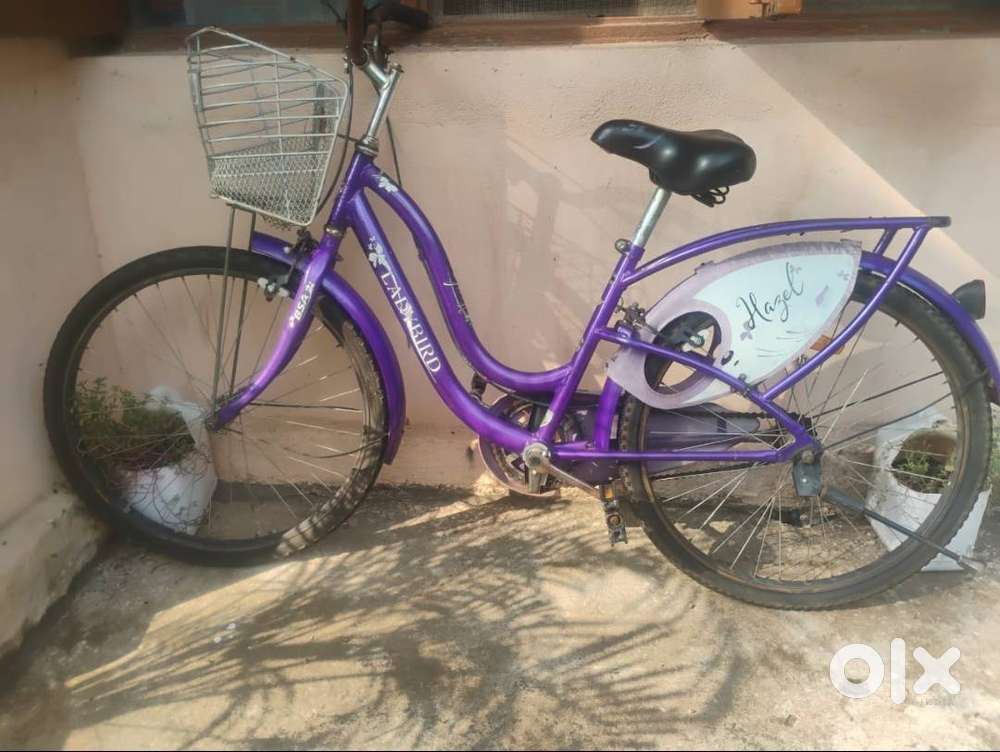 BSA Lady Bird 24 Inch Size Bycycle