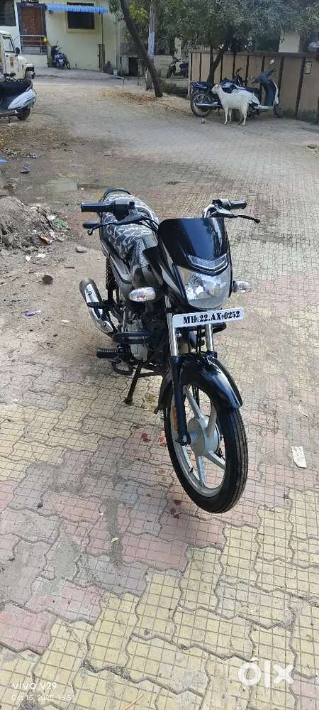 Platina 100 CC 2021 September model, Very good condition