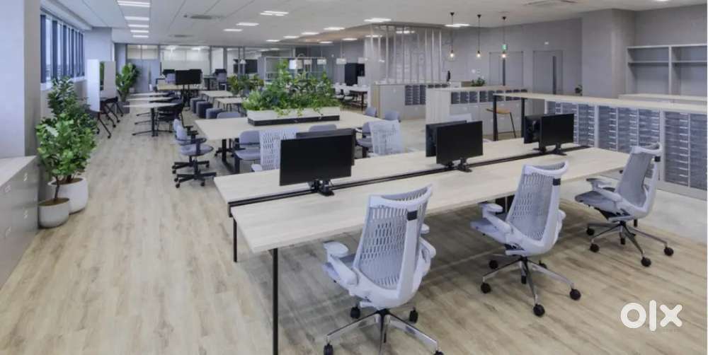 Girl Junior assistant