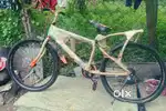 Arko brand