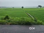 zameen in near atal setu