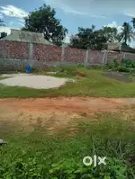 2 ghonda rasta 6fut assam Agartala road theke 1km vitore