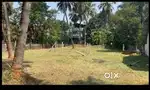 Residential land  for sale near kerala varma college, Kanattukara