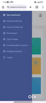 Data entry job