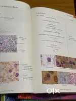 MARROW NOTES EDITION 8