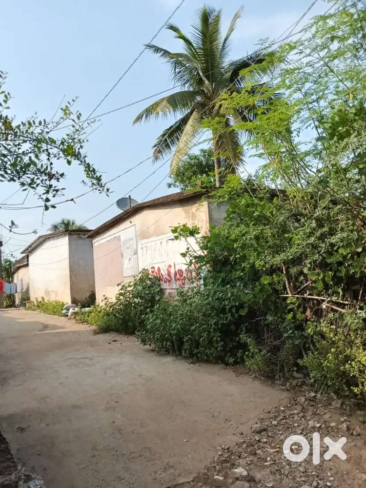 Emergency sale flat cheap 9 ankanam flat 3 ankanam house 20000 fix