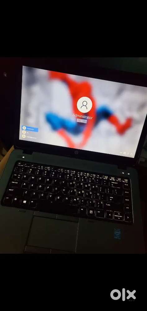 Hp windows laptop