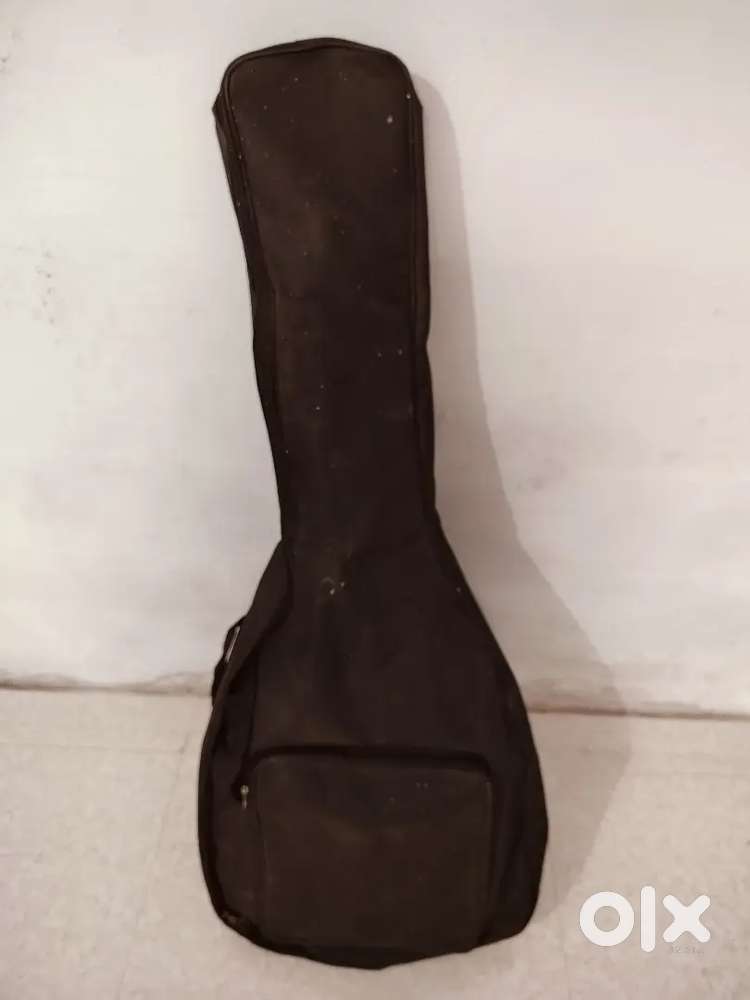 Guitar with bag and belt
