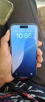 Only 17 day old