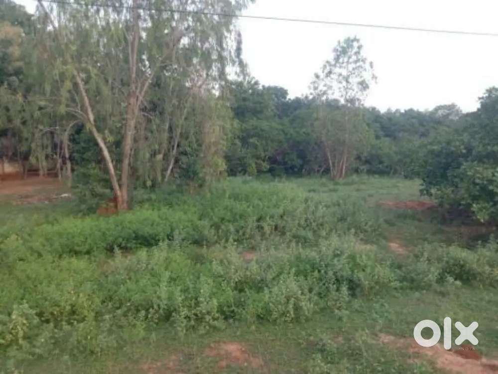 Plot for sale in manikandam