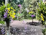 LAND FOR SPORTS TURF/GYM/ SWIMMING POOL/GODOWN