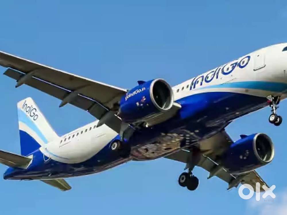 We are selected airline candidates apply fast