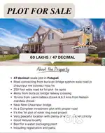 47 Decimal resale in potapali