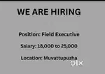 Field executive
