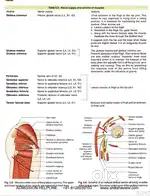 All subjects (Interested in Math 1-10, Science)