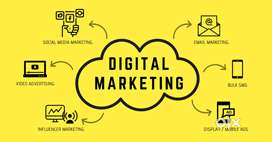 Opening for tele sales executive and manager  Work From Home