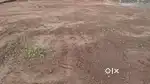 For sale land