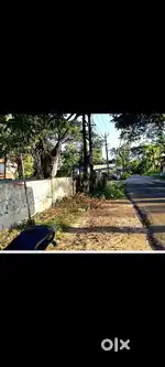 ചേർത്തല മായിത്ര കടമുറിക്കും വീടിനും അനുയോജ്യം ആയ പ്ലോട്ട്