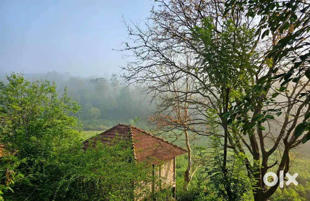 Operations Manager/Executive required for Wayanad Resort