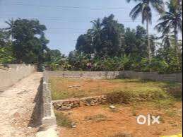 5 Cent Vellayani Land for Sale