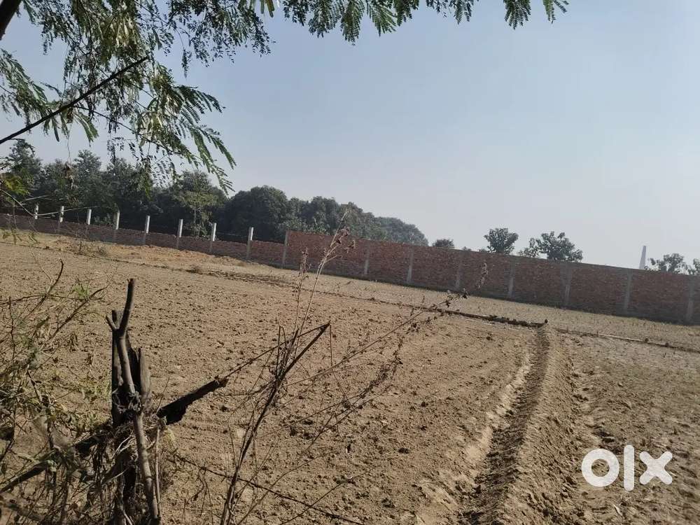 Showroom, Banks, Automobile, Garage etc.