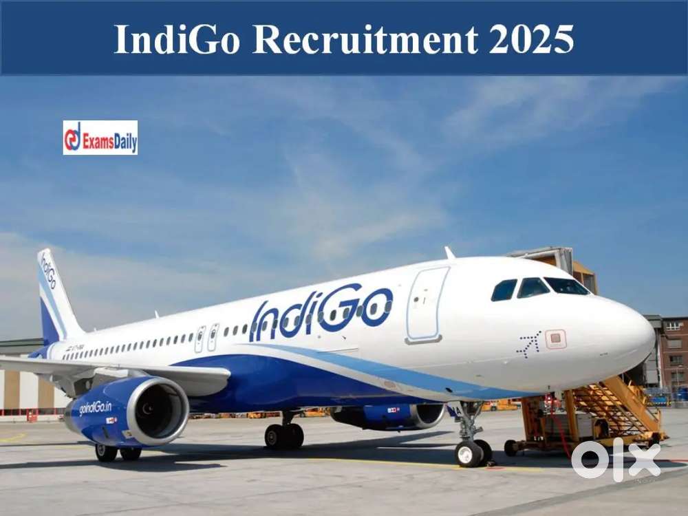 Vacancy open in indigo Airlines urgent hiring y
