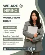 Work from home data entry job