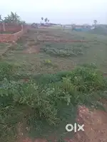 30 ft road plot sell at Hanspal Balianta