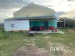 Rice mill with 30 cents place
