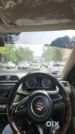 Professional driver