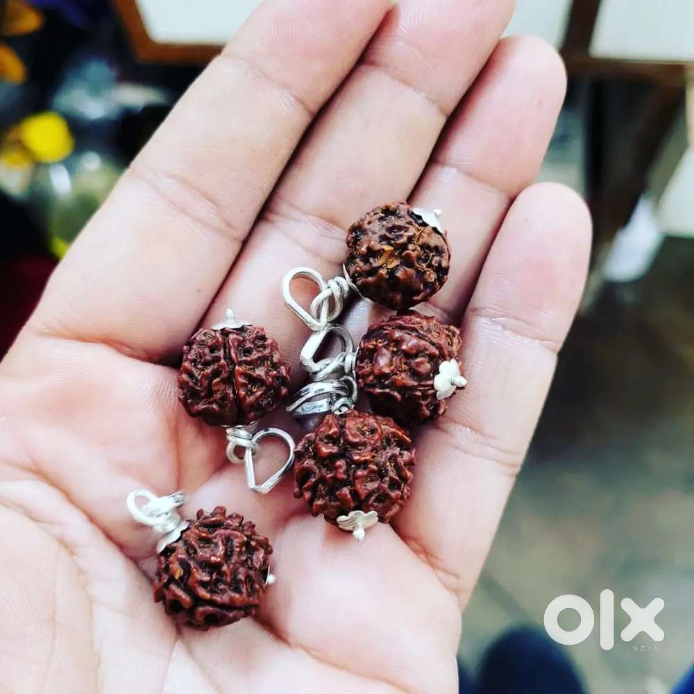 Rashi ratn (gemstone)rudraksh