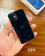 iPhone 12 Mini (HOLI CE;EBRATION THIS YEAR BUMPER OFF ON ALL MODELS)