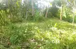 10 cent plot for sale.  Best for house construction