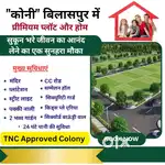कोनी बिलासपुर में बुक करें अपना प्लॉट या मकान