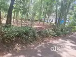10 cent roadside square plot in Melur, Dharmadom