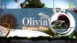 1.5 CENT Best Investment & Residential DTCP Land For Sale