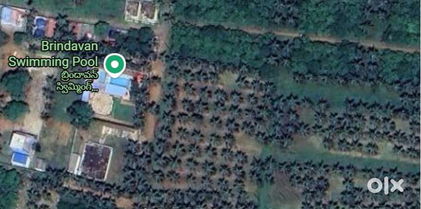 Datla coco resorts in side plot