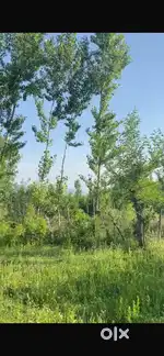 Land for urgent sale