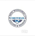 Sales executive